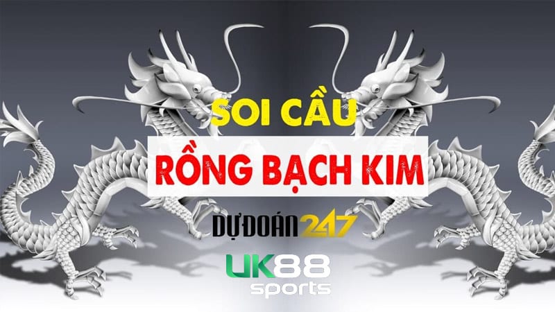 co nhieu loai cau rong bach kim 24 7 uk88