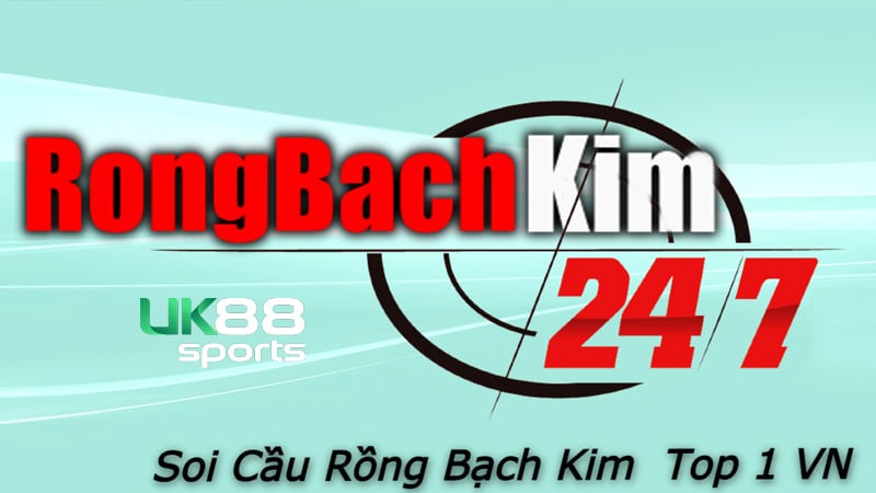 tim hieu soi cau rong bach kim uk88